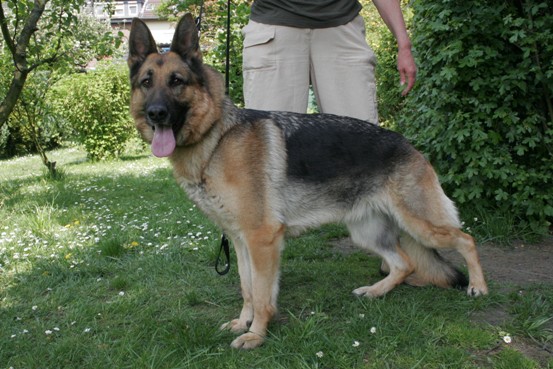 Enzi 2008